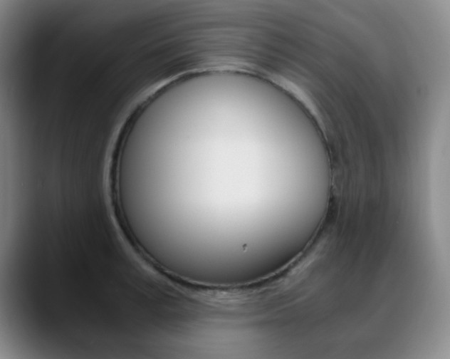 X0000090740995200707201010