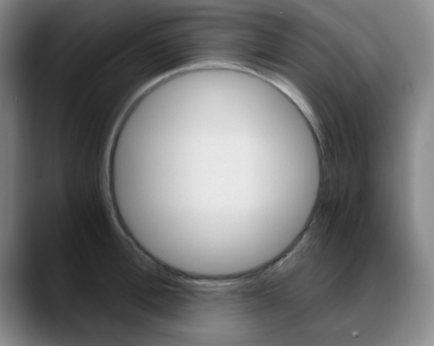 X0000090740996200707201010