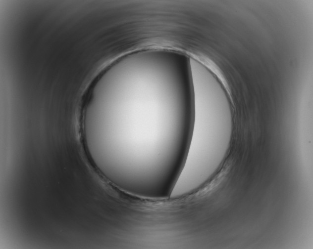 X0000090740997200707201010