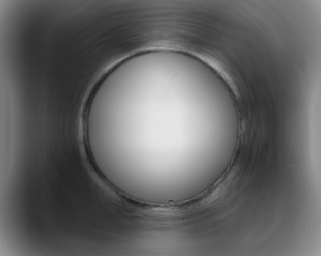 X0000090740998200707201010
