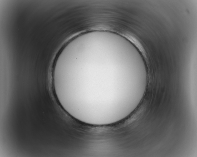 X0000090741000200707201010