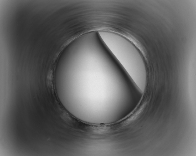 X0000090741001200707201010