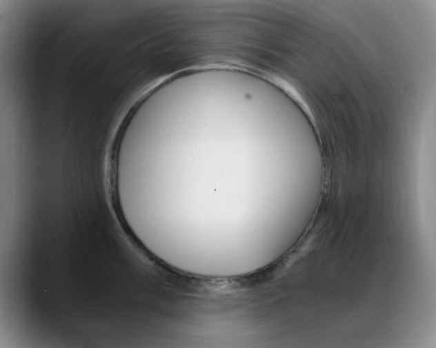 X0000090741003200707201010