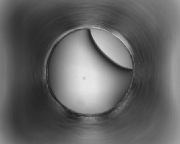 X0000090741004200707201010
