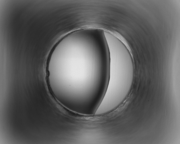 X0000090741005200707201010