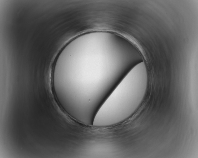 X0000090741006200707201010