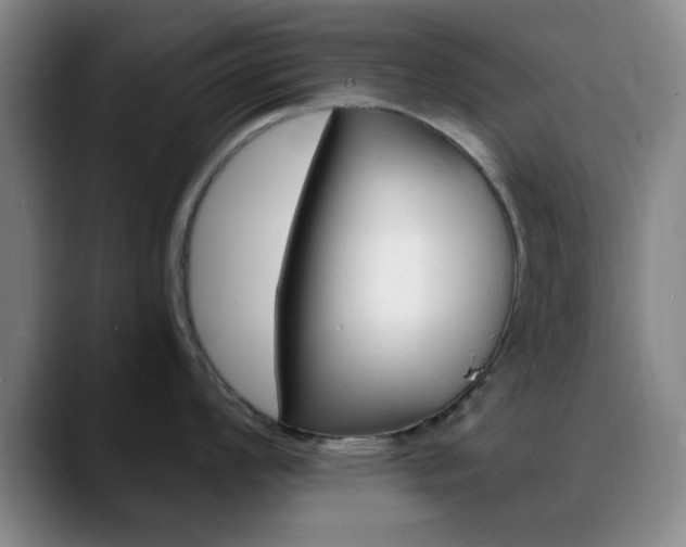 X0000090741008200707201010
