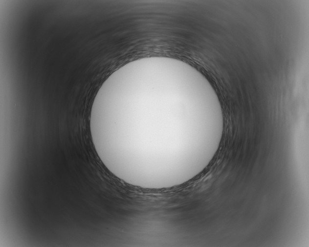 X0000090741010200707201009