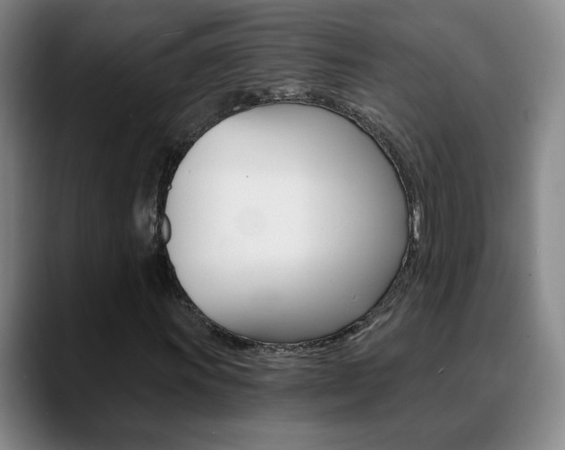 X0000090741011200707201009