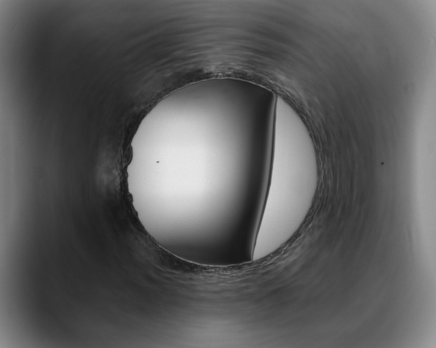 X0000090741012200707201009