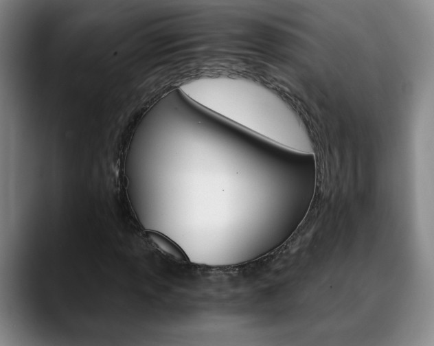 X0000090741013200707201009