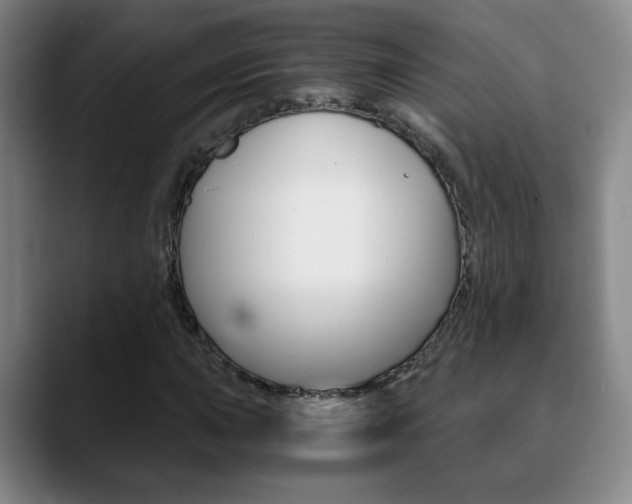 X0000090741015200707201009