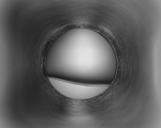 X0000090741016200707201009