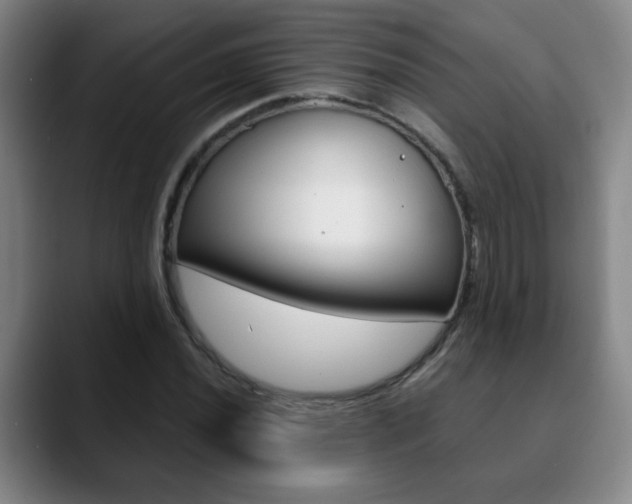X0000090741020200707201009
