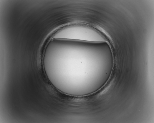 X0000090741021200707201009