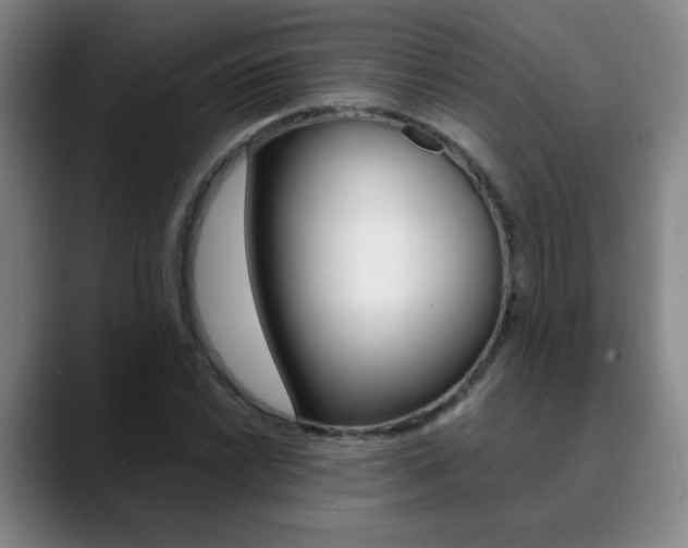 X0000090741022200707201009