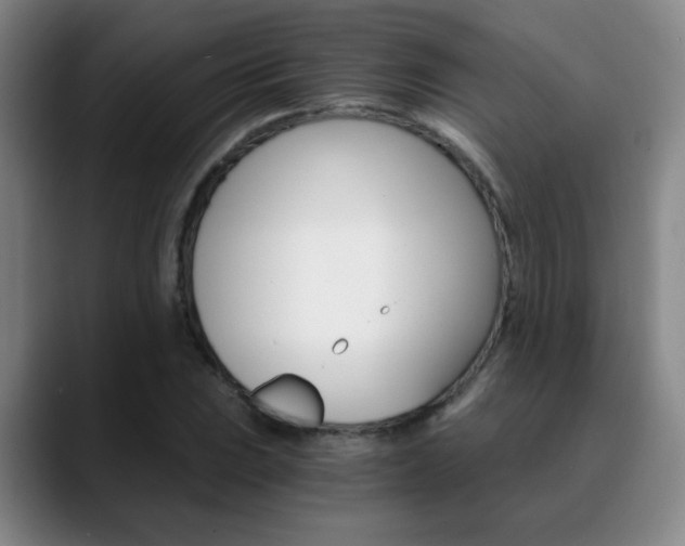 X0000090741023200707201009