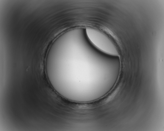 X0000090741025200707201009