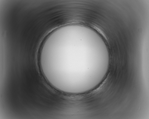 X0000090741026200707201009