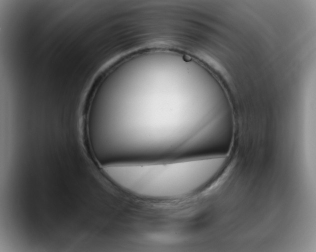 X0000090741029200707201009