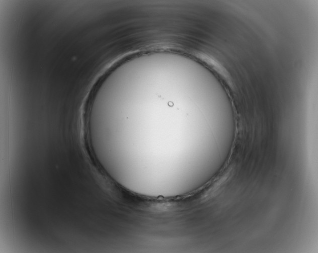 X0000090741031200707201009