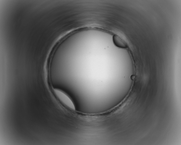 X0000090741032200707201009