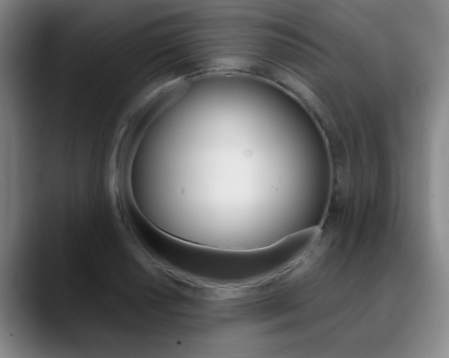 X0000090741034200707201009