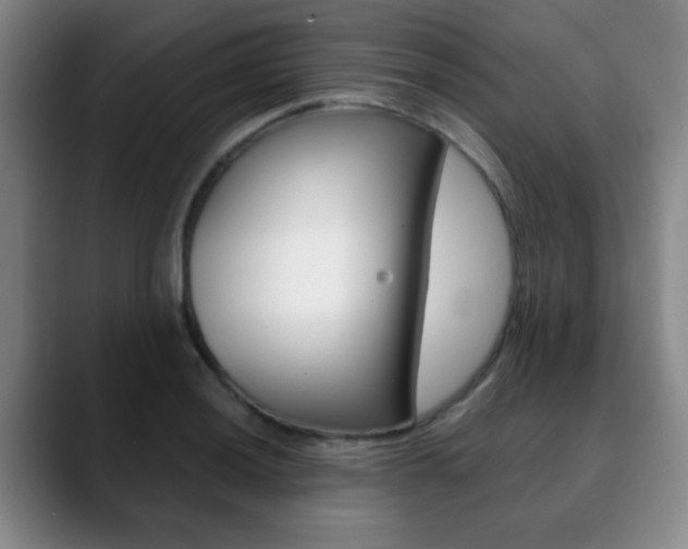 X0000090741036200707201009