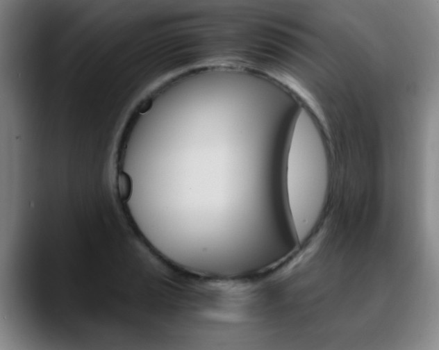 X0000090741037200707201009