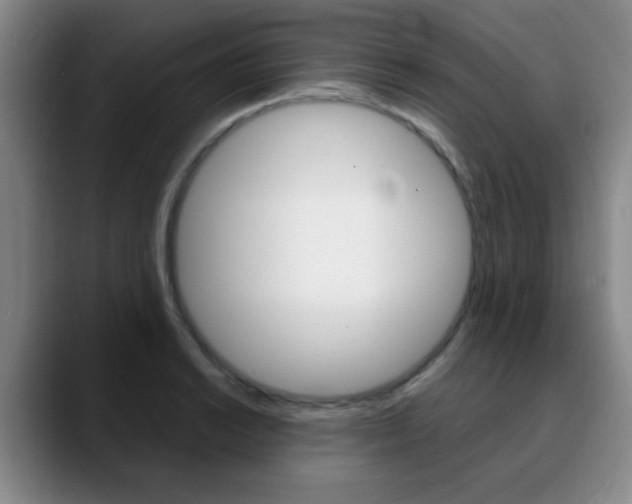 X0000090741038200707201009