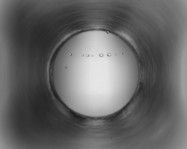 X0000090741039200707201009