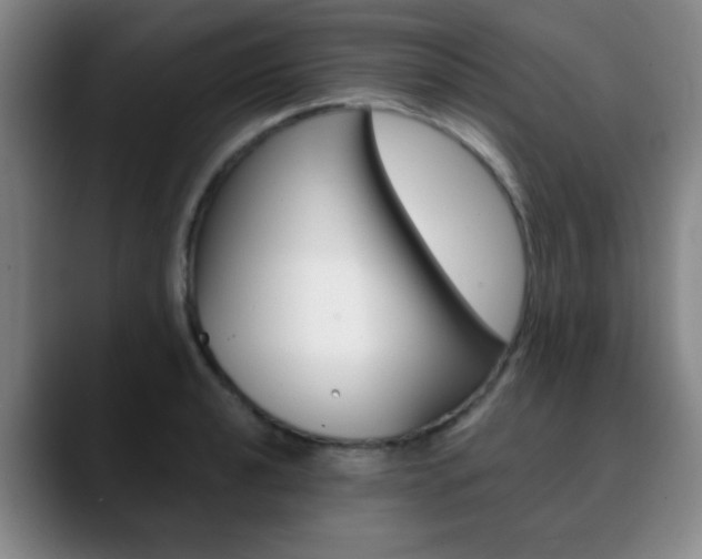 X0000090741040200707201009