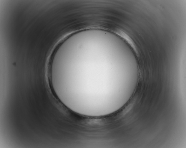 X0000090741043200707201009