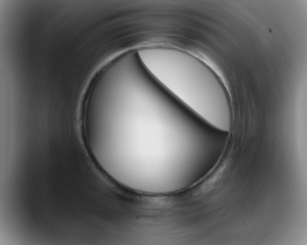 X0000090741045200707201010