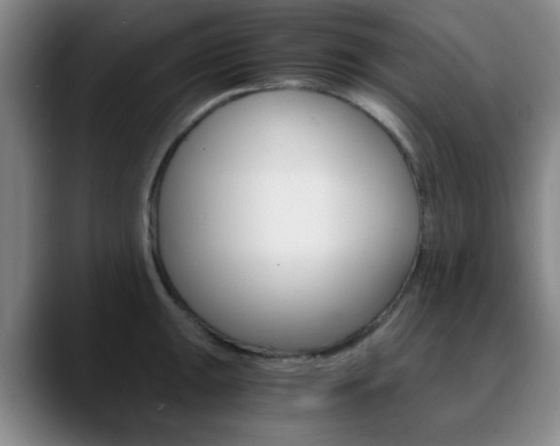 X0000090741047200707201010