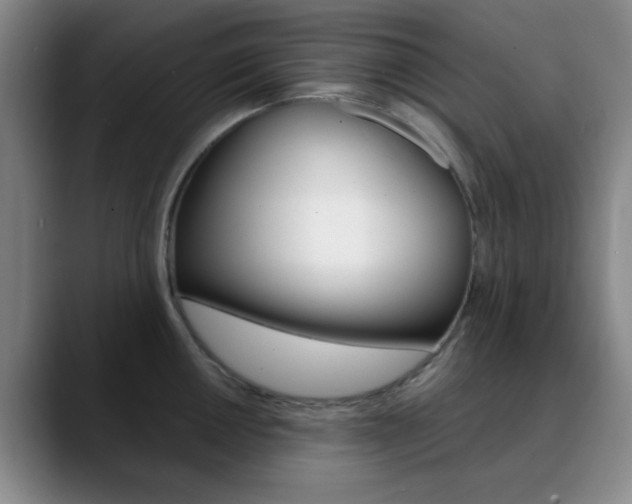 X0000090741050200707201010