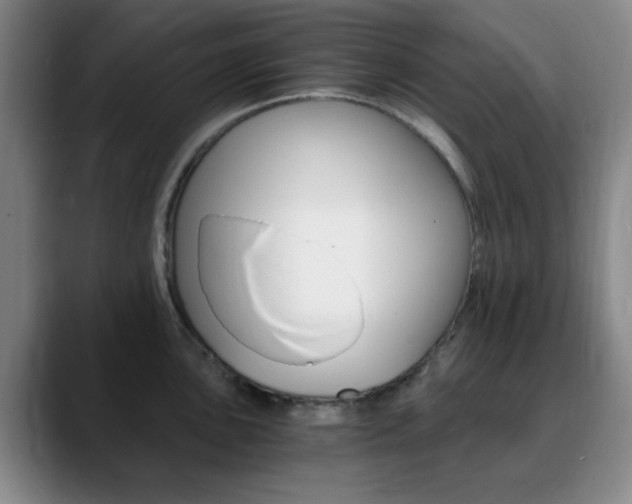 X0000090741051200707201010