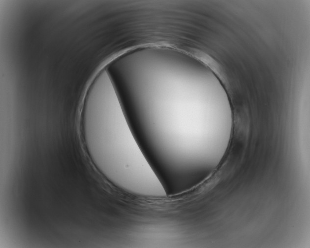 X0000090741052200707201010