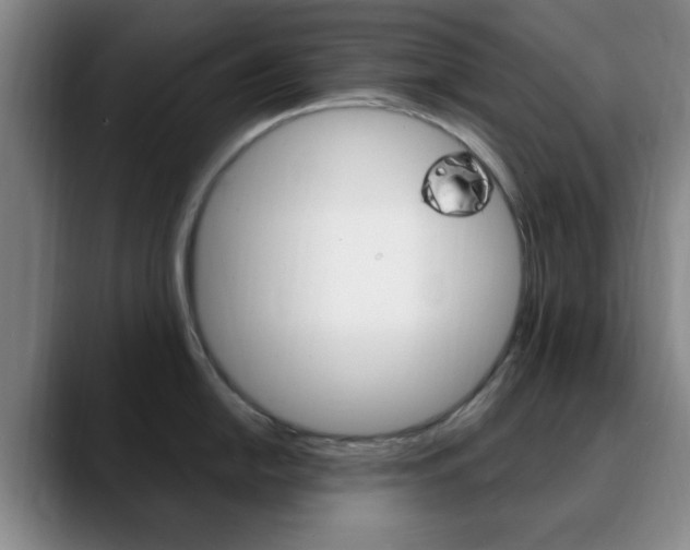 X0000090741054200707201010