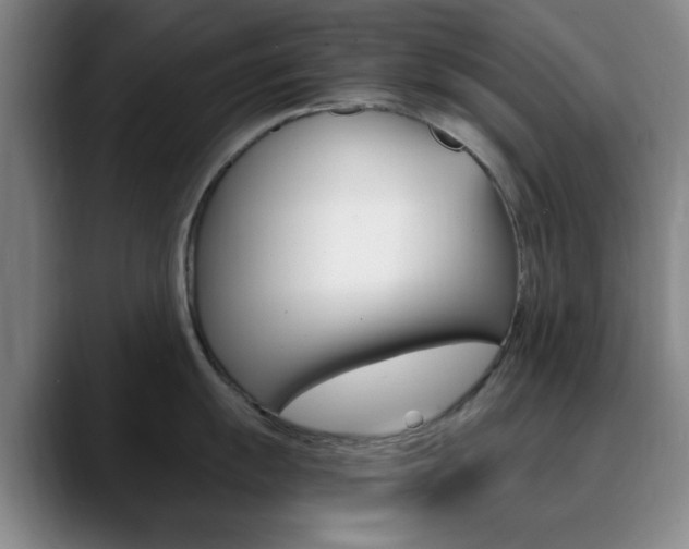 X0000090741055200707201010