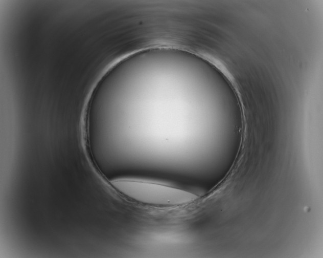 X0000090741056200707201010