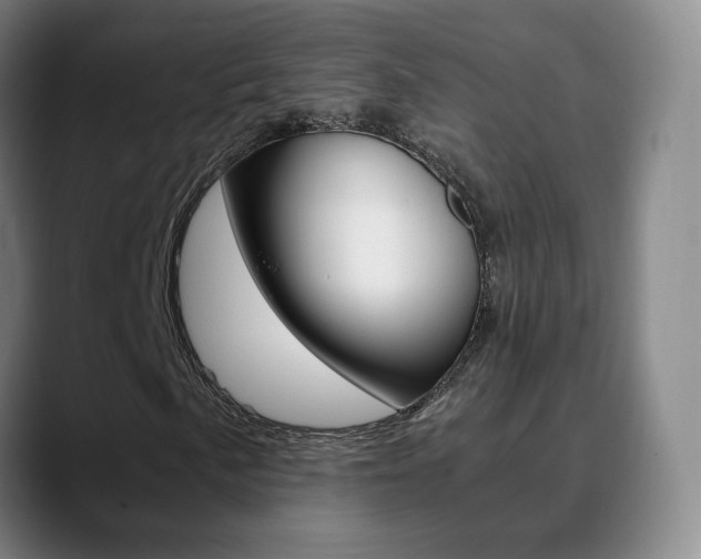 X0000090741057200707201009