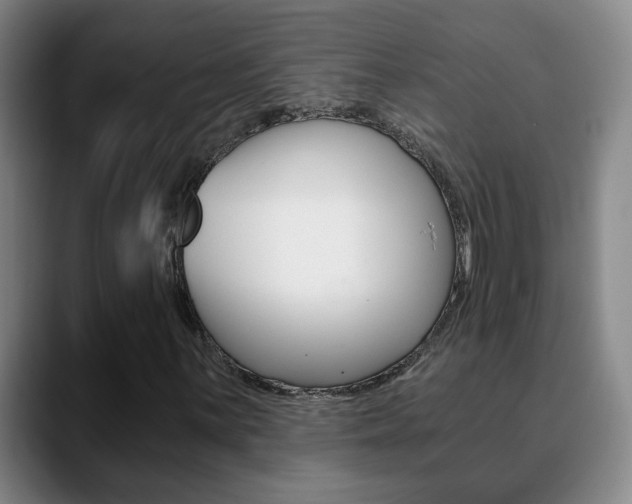 X0000090741059200707201009