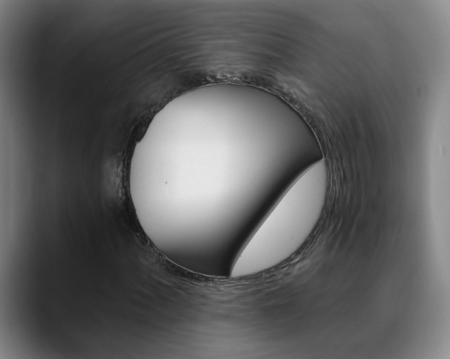 X0000090741060200707201009