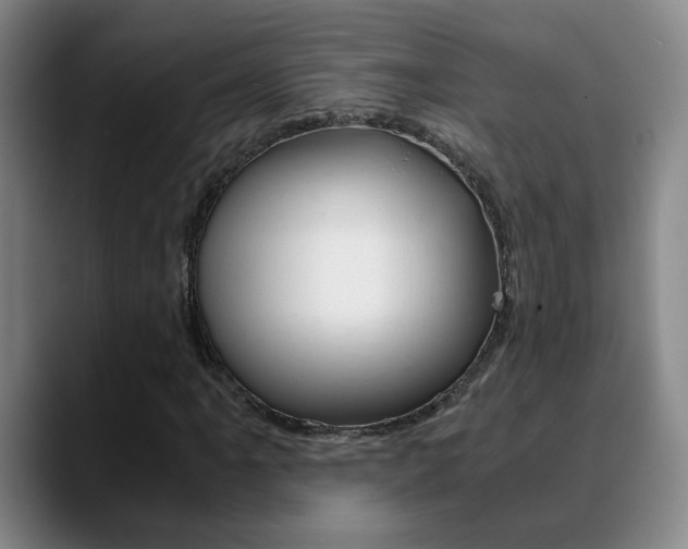 X0000090741061200707201009