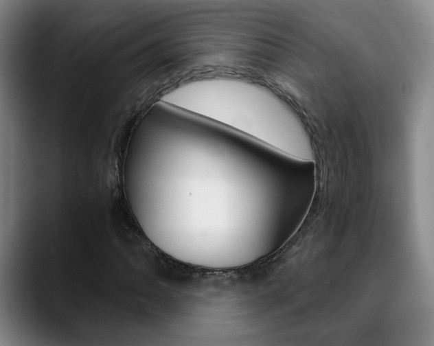 X0000090741062200707201009