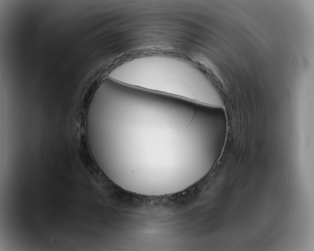 X0000090741064200707201009