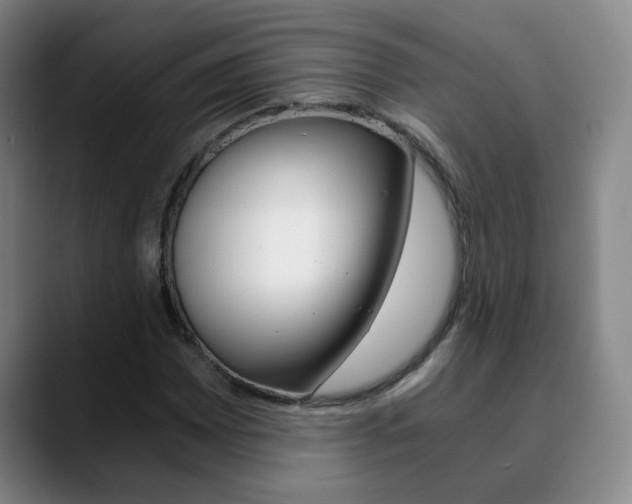 X0000090741065200707201009