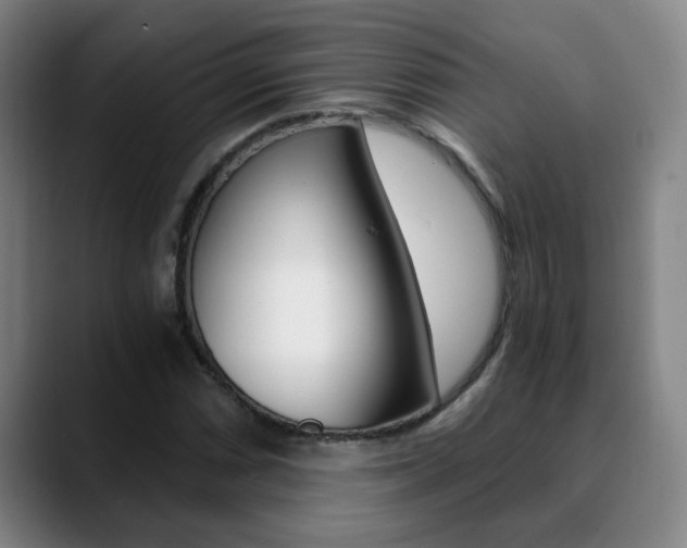 X0000090741066200707201009