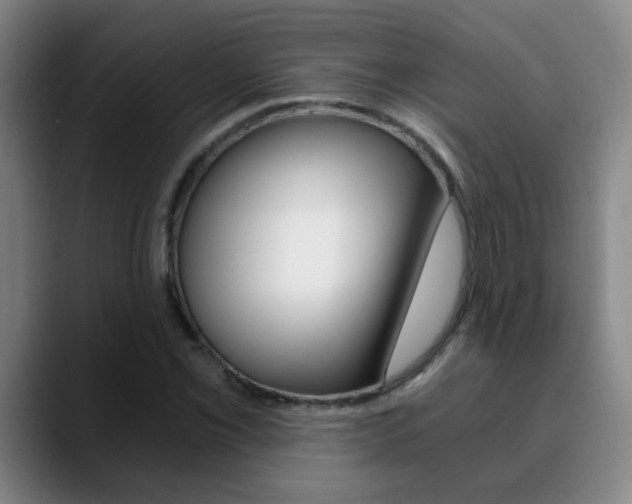 X0000090741069200707201009